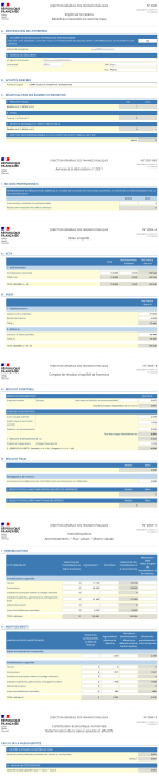 synthese-declaration-lmnp-impot.png