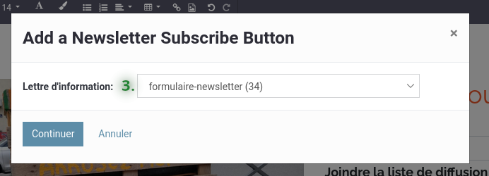 email-publicitaire-odoo-formulaire-newsletter-selection.png