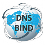 serveur-dns-logo.png